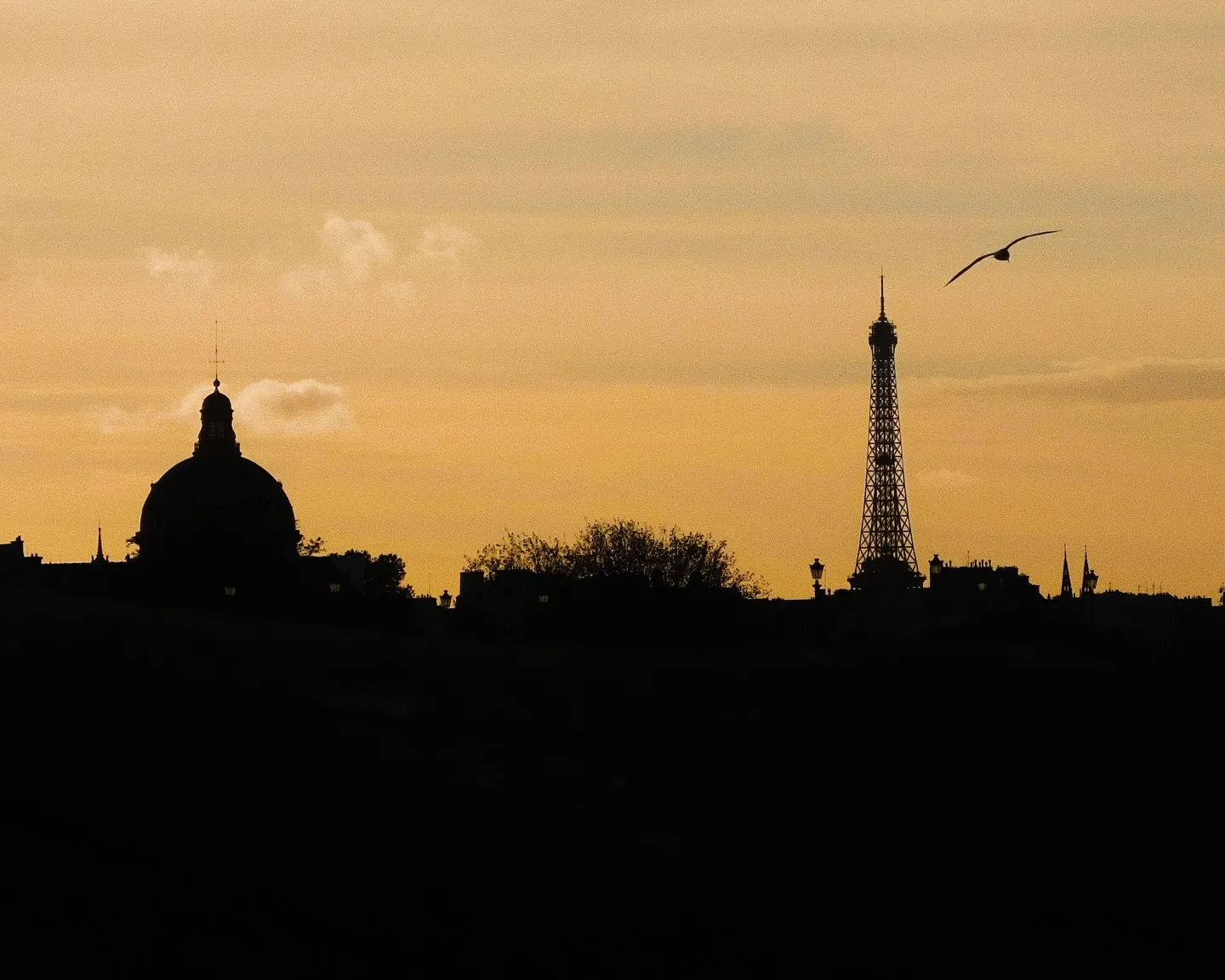 Some cities have skylines, Paris has a silhouette